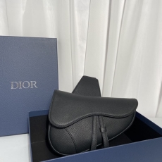 Dior Saddle Bags